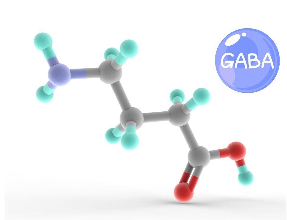 Axit gamma-aminobutyric (GABA) và ASD