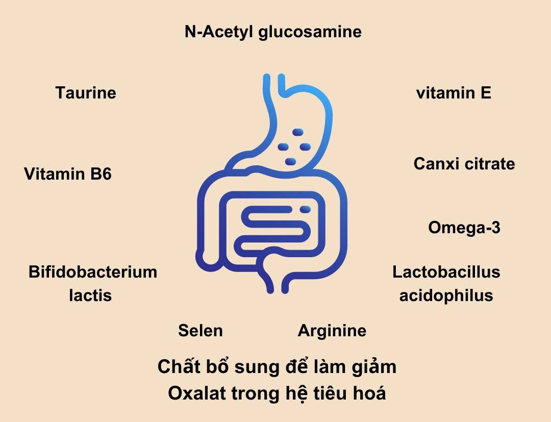 Oxalate và bệnh tự kỷ. Ý nghĩa của việc kiểm soát men và kim loại nặng – Phần 2